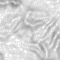 topografisch kaart contour achtergrond. topo kaart met verhoging. contour kaart vector. geografisch wereld topografie kaart rooster abstract vector illustratie .