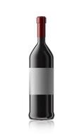 rood wijn fles. reeks van wit, roos, en rood wijn flessen. geïsoleerd Aan wit achtergrond. vector
