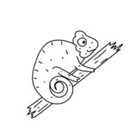 hand getekend kameleon icoon in doodle stijl. cartoon kameleon vector pictogram voor webdesign geïsoleerd op een witte achtergrond.