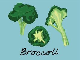 biologisch broccoli groen groenten in divers vorm en hoek reeks verzameling. vector illustratie van gezond veganistisch voedsel.