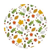 warm en kleurrijk herfst illustraties. bladeren en bessen, eikels en dun takken vector