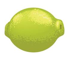 vers citroen fruit gezond vector