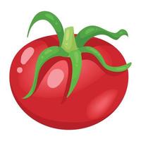 verse tomatengroente vector