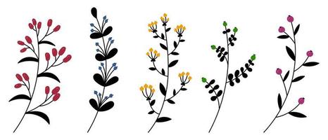 reeks van vector planten en kruiden. hand- getrokken bloemen elementen. silhouetten van natuurlijk elementen voor seizoensgebonden achtergronden. tekening stijl. vector illustratie