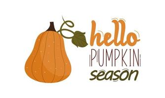 Hallo pompoen seizoen. herfst hand- getrokken belettering vector reeks met pompoenen, kastanje en bladeren. hal