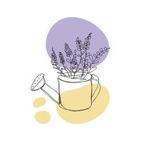 bloeiend lavendel in een gieter kan lijn kunst vector illustratie.