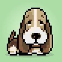 8 bit pixel van basset hound dog. dieren voor activaspellen in vectorillustraties. kruissteek patroon. vector