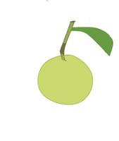guava logo fruit vector