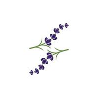 verse lavendel bloem logo vector