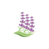 verse lavendel bloem logo vector