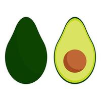 groen avocado voor gezond aan het eten. geheel, plak en gehalveerd avocado met bot. vector illustratie. eps 10.