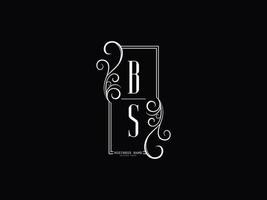 initialen bs logo afbeelding, luxe bs sb brief logo ontwerp vector