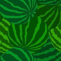 vector naadloos patroon met groen gestreept watermeloenen. kleurrijk hand getekend herhaalbaar achtergrond.