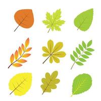 set van herfstbladeren vector