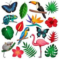 tropische fauna en flora set vector