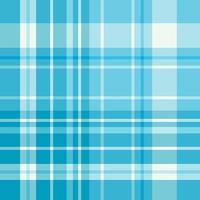 naadloos patroon in schattig blauw en wit kleuren voor plaid, kleding stof, textiel, kleren, tafelkleed en andere dingen. vector afbeelding.