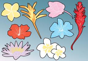 Hawaiian Flower Silhouettes vector