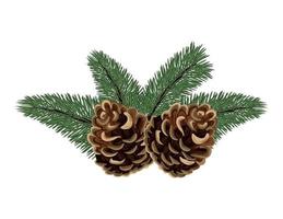 Kerstmis pijnboom sparren en kegels vector