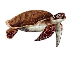 schildpad marinier leven dier vector