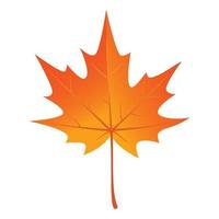 herfst esdoorn- blad icoon, vlak stijl vector