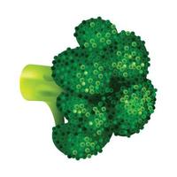 groen broccoli icoon, isometrische stijl vector