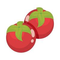 tomaten groente voedsel vector