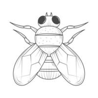 vlieg insect dier vector