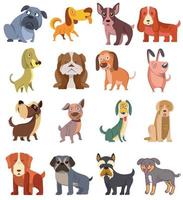 schattig grappig tekenfilm met verschillend hond vector puppy huisdier tekens verzameling. harig menselijk vrienden huis dieren