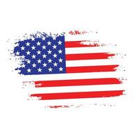 professioneel borstel effect Amerikaans vlag vector