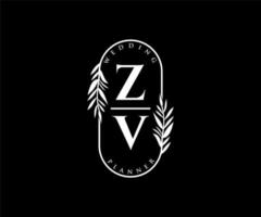 zv initialen brief bruiloft monogram logos verzameling, hand- getrokken modern minimalistisch en bloemen Sjablonen voor uitnodiging kaarten, opslaan de datum, elegant identiteit voor restaurant, boetiek, cafe in vector