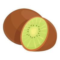 kiwi fruit icoon tekenfilm vector. groen fruit vector