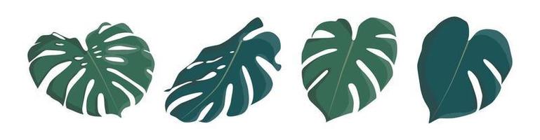 reeks van groen monstera bladeren. vlak ontwerp stickers. groep van pictogrammen illustratie geïsoleerd Aan wit achtergrond vector