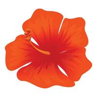 tropisch hibiscus icoon, tekenfilm stijl vector