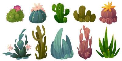 reeks van cactus, woestijn cactussen bloemen vector reeks