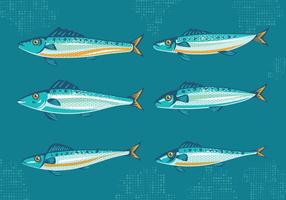 Set van Sardine of sardines met vintage style Vectoren