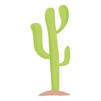 Argentinië cactus icoon tekenfilm vector. reizen cultuur vector