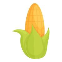 boerderij maïs icoon tekenfilm vector. maïskolf maïs vector