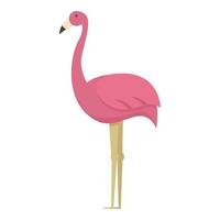 Argentinië flamingo icoon tekenfilm vector. reizen aires vector