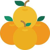 oranje Chinese nieuw jaar verjaardag fruit - vlak icoon vector
