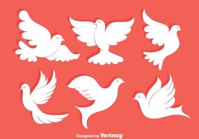 White Pigeon Collection Vector