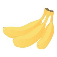 banaan Afdeling icoon, isometrische stijl vector