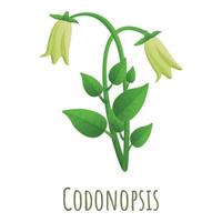 codonopsis icoon, tekenfilm stijl vector