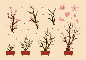 Peach Blossom Gratis Vector