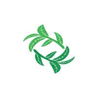 logo's van groene boom blad ecologie vector