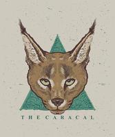 caracal kat wijnoogst stijl illustratie vector