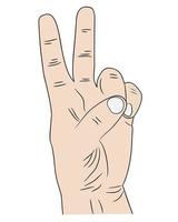menselijk hand- tonen twee vingers Aan een wit achtergrond vector