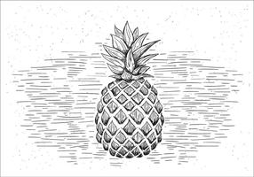Gratis Hand Drawn Vector Pineapple Illustration