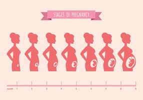 Vector illustratie van zwangere vrouwelijke silhouetten