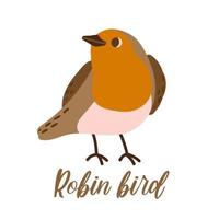 tekenfilm Robin vogel. schattig winter vogel. vector illustratie voor afdrukken, kleding, verpakking, stickers