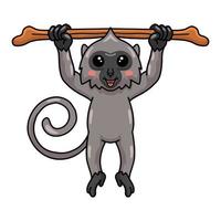 schattig weinig grijs langur aap tekenfilm hangende Aan boom Afdeling vector